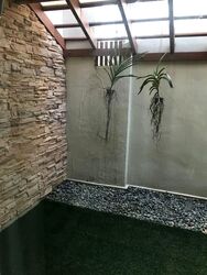 Clementi Park (D21), Condominium #571770321